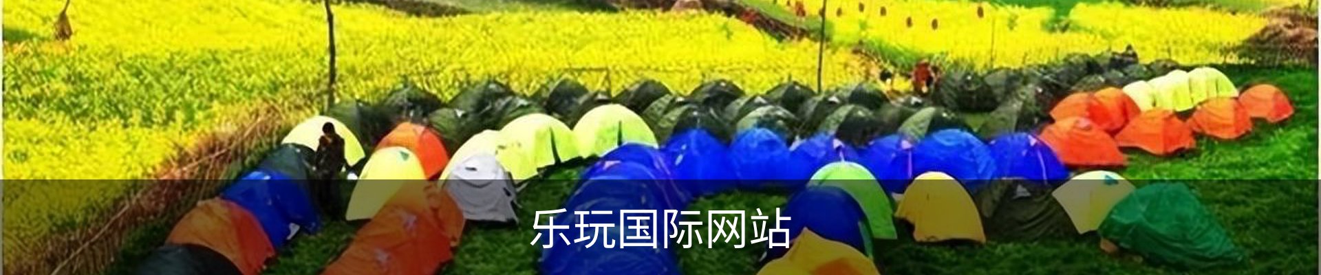 乐玩国际网站